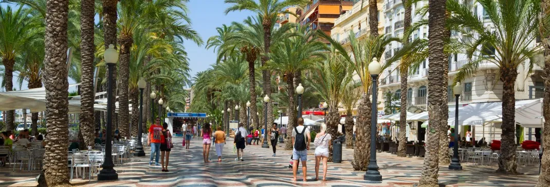 Palmenallee in Alicante.